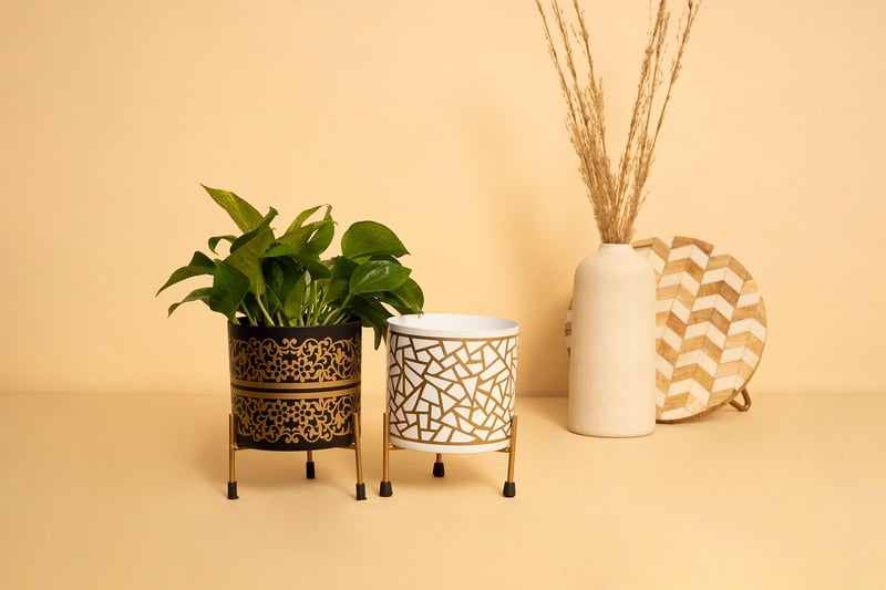 Macrame Plant Hangers